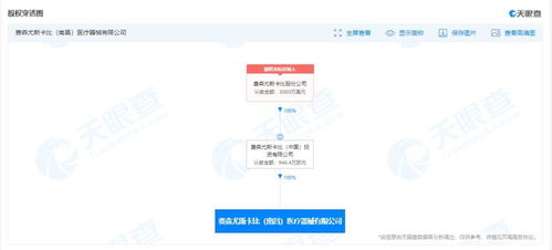 信息咨詢服務 連接知識與決策的橋梁